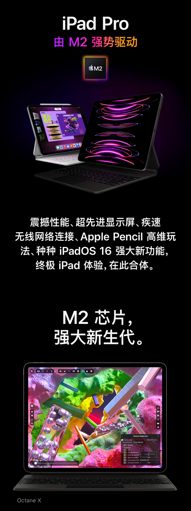 iPad Pro  12.9寸 22款