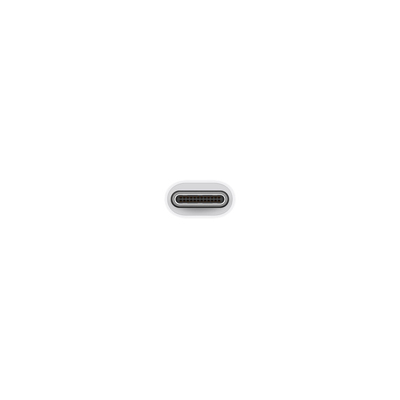 USB-C 至 USB 转换器