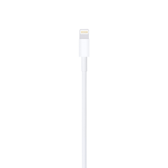 闪电转 USB 连接线 (1 米)