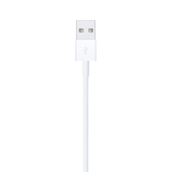 闪电转 USB 连接线 (1 米)