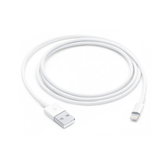 闪电转 USB 连接线 (1 米)