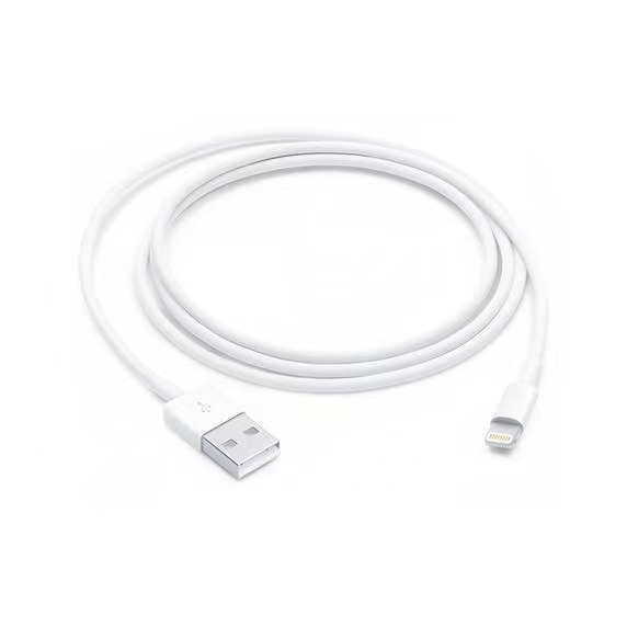闪电转 USB 连接线 (1 米)