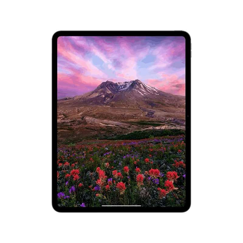 iPad Pro 13寸 24款 Wi-Fi版 标准玻璃面板显示屏